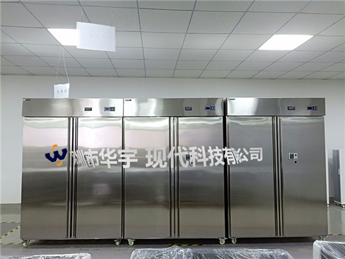 我司为恩施土家族苗族自治州档案局提供档案存储草莓视频大全下载(图2)